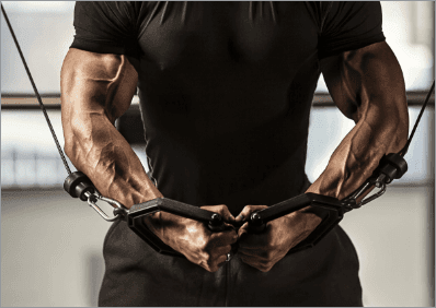 Basic Fitness