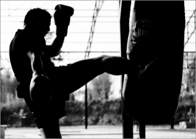 Fit to Fight