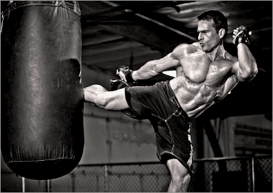 Ultimate Fighter
